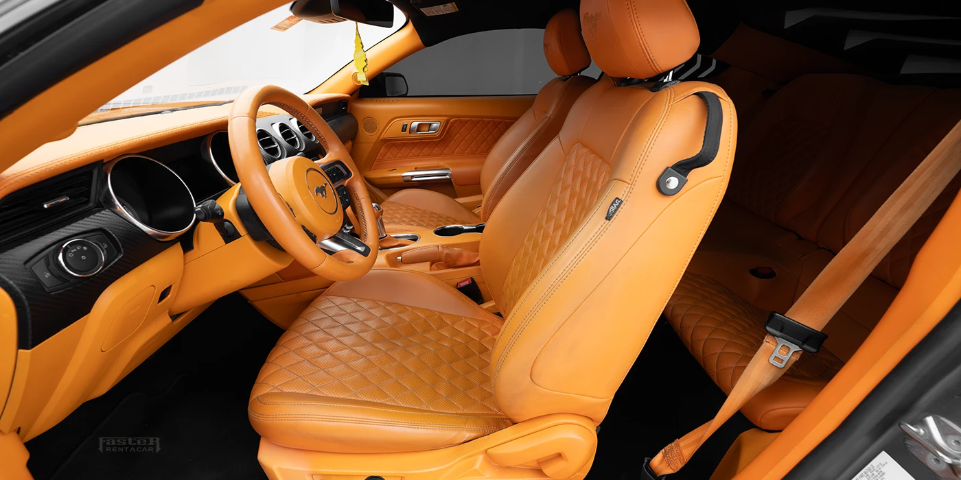 Ford Mustang Gray Orange Interior Front Seats